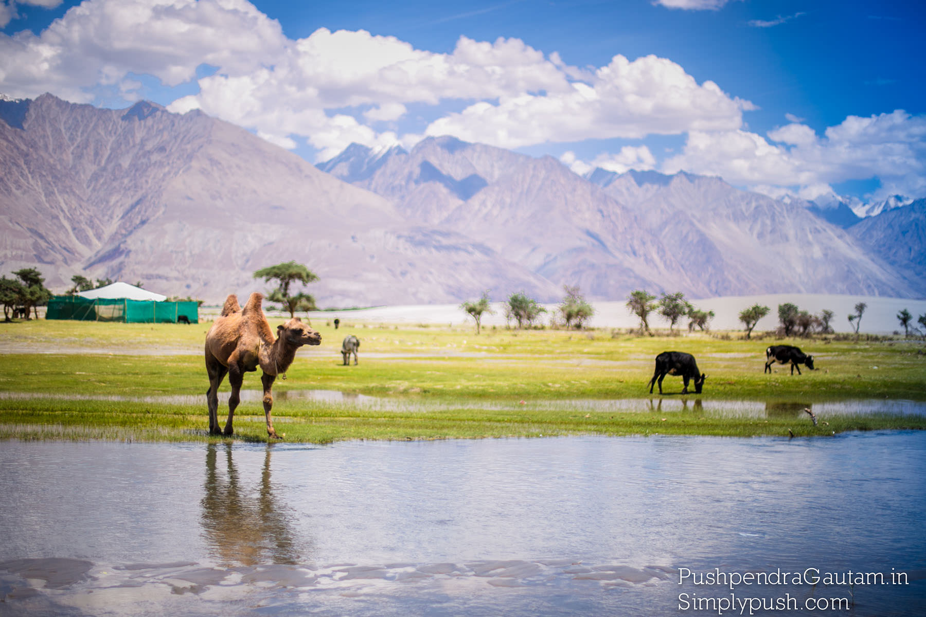 Leh-manali-road-trip-pics-manali-leh-route-plan-how-to-plan-a-trip-to-leh-manali-highway-on-bike-pushpendragautam-pics-event-photographer-india